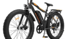 Aostirmotor 750W Electric Bike