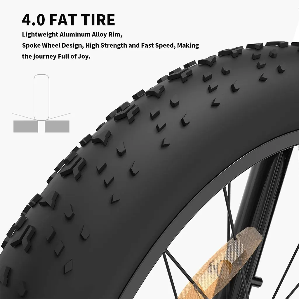 Aostirmotor 750W Electric Bike - 3