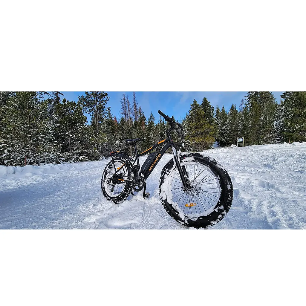 Aostirmotor 750W Electric Bike - 6