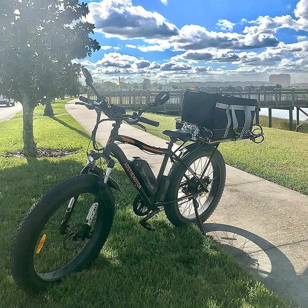 Aostirmotor 750W Electric Bike - 7