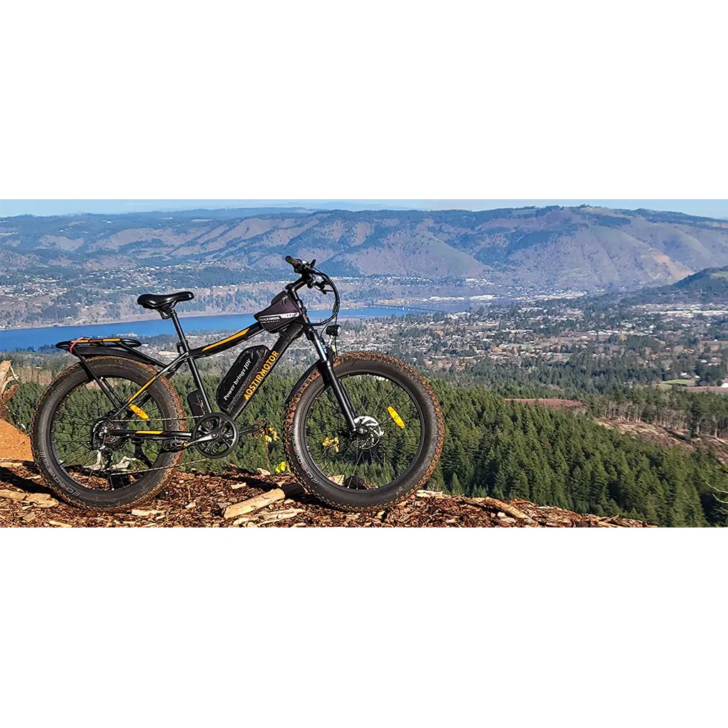 Aostirmotor 750W Electric Bike - 8
