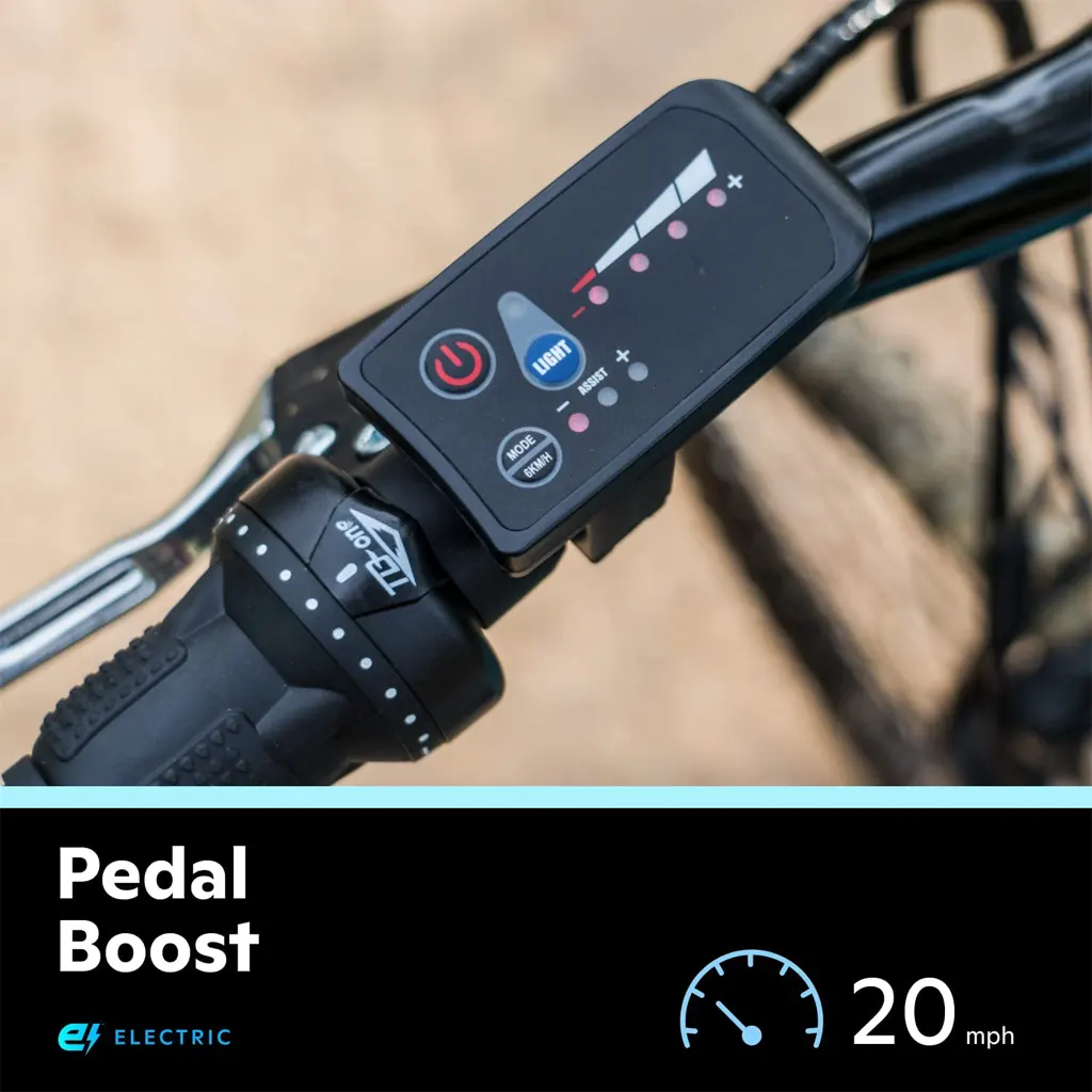 Schwinn Electric Mountain Bike - 1