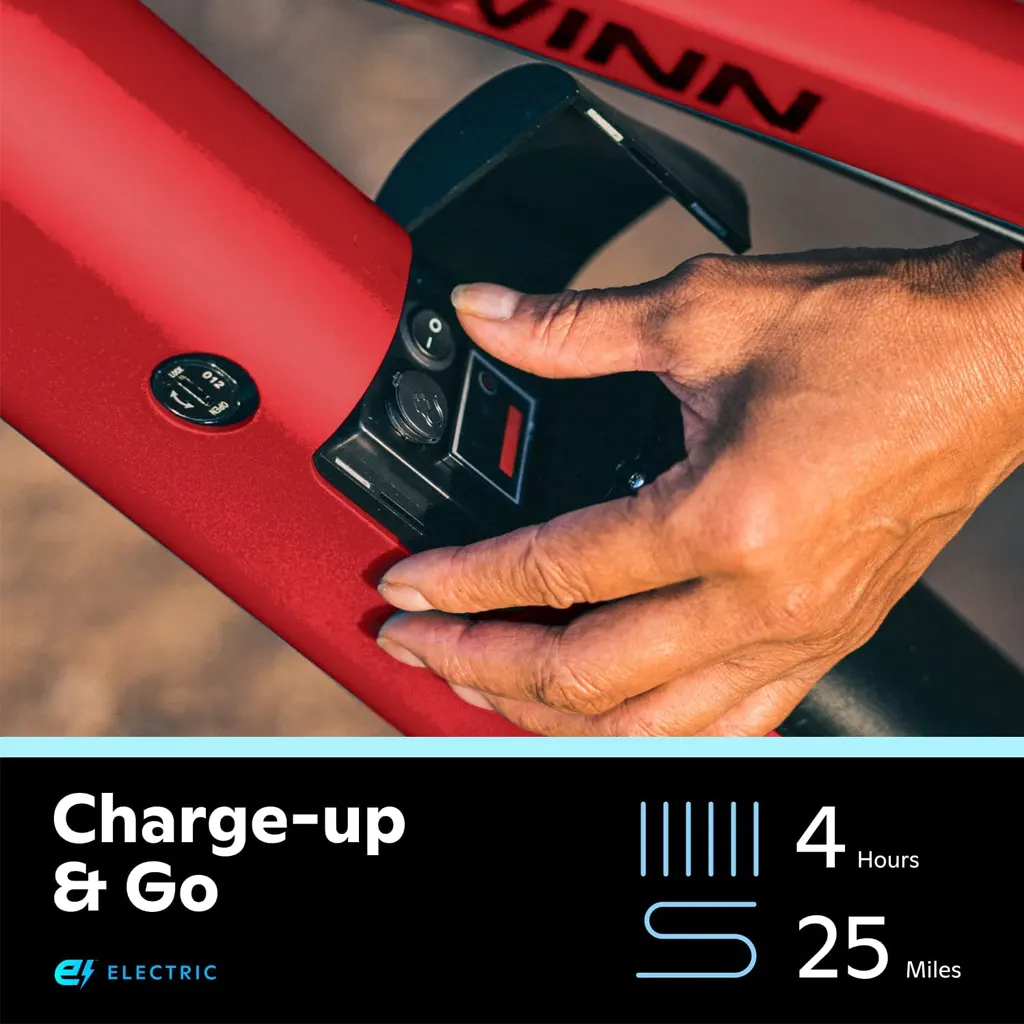 Schwinn Electric Mountain Bike - 2