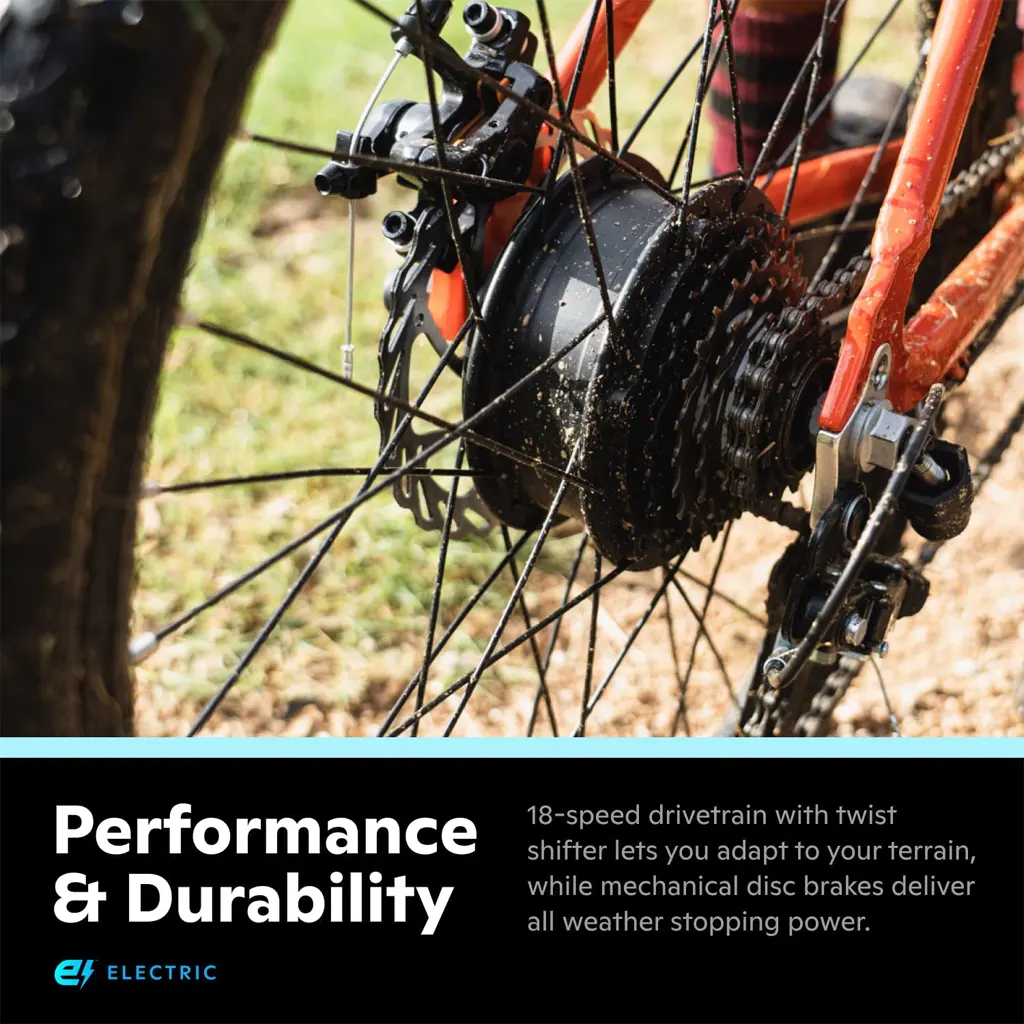 Schwinn Electric Mountain Bike - 4